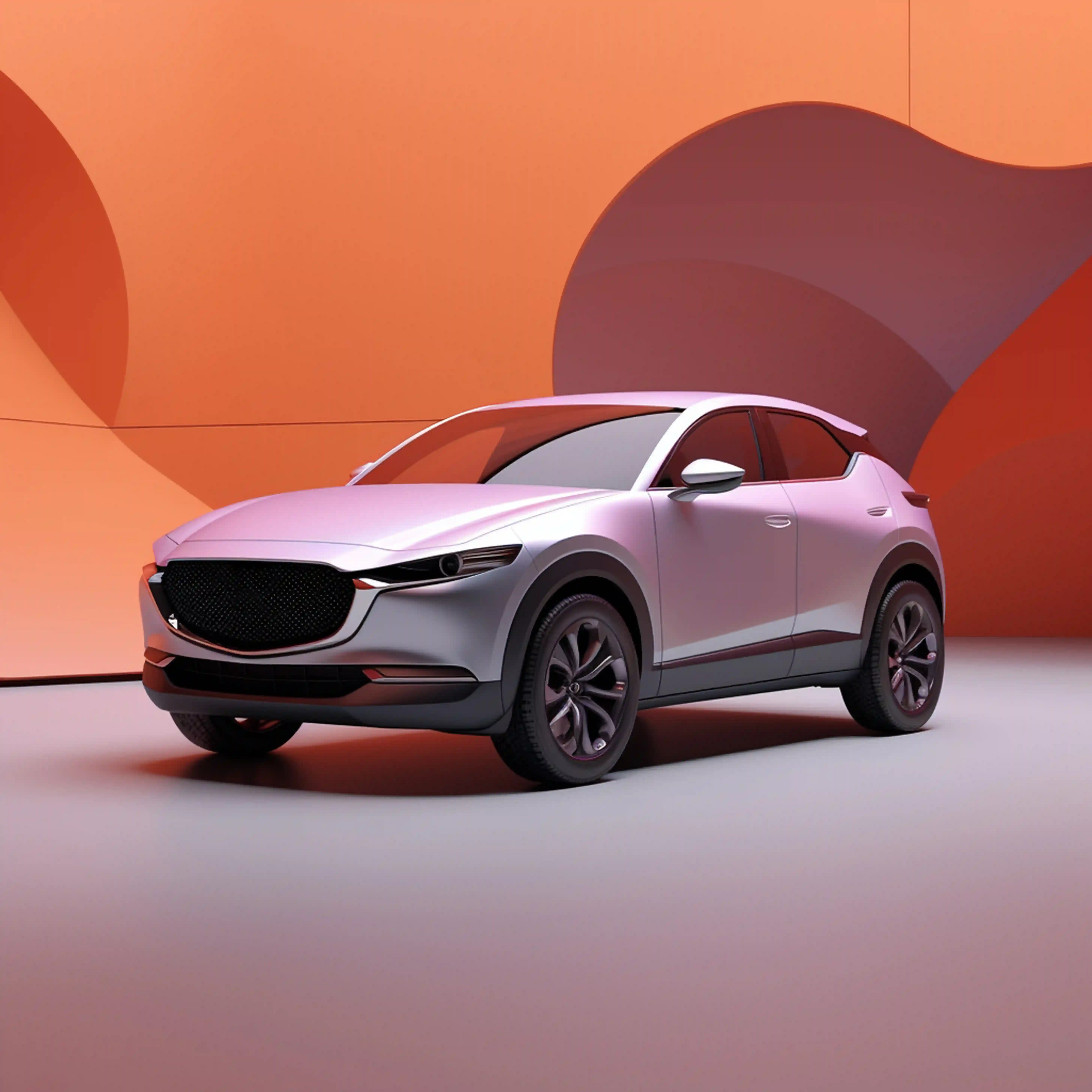 Professional car rental service